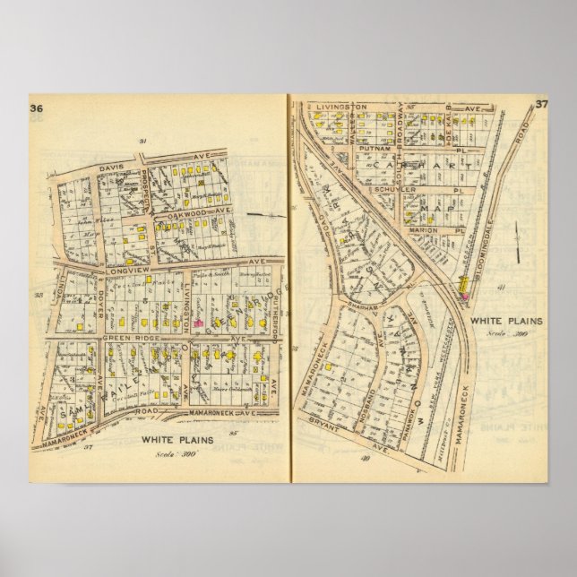 36-37 White Plains Poster (Front)