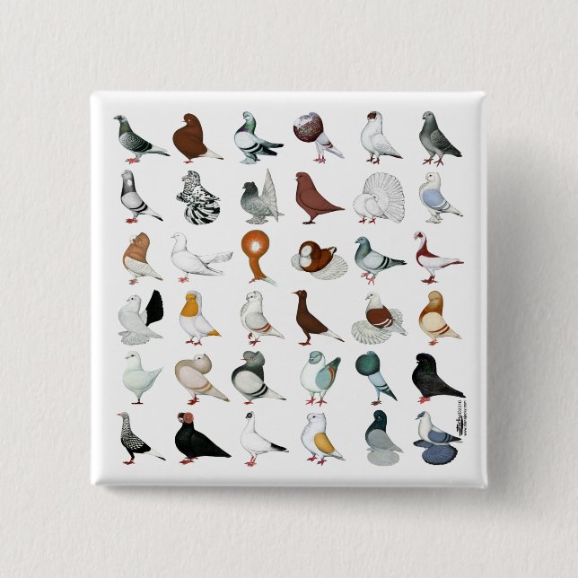 36 Pigeon Breeds 15 Cm Square Badge (Front)