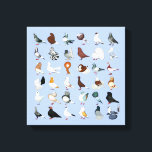 36 Pigeon Breeds Canvas Print<br><div class="desc">The world is full of hundreds of varieties and colours of domestic pigeons... here is but a sample!</div>