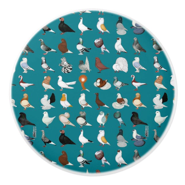 36 Pigeon Breeds Ceramic Knob (Front)