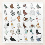 36 Pigeon Breeds Glass Coaster<br><div class="desc">The world is full of hundreds of varieties and colours of domestic pigeons... here is but a sample!</div>