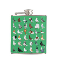 36 Pigeon Breeds