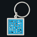 36 Pigeon Breeds Key Ring<br><div class="desc">The world is full of hundreds of varieties and colours of domestic pigeons... here is but a sample!</div>
