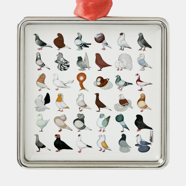 36 Pigeon Breeds Metal Tree Decoration (Front)