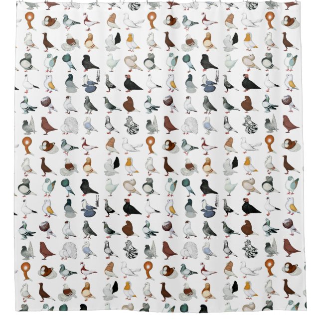 36 Pigeon Breeds Shower Curtain (Front)