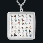 36 Pigeon Breeds Silver Plated Necklace<br><div class="desc">The world is full of hundreds of varieties and colours of domestic pigeons... here is but a sample!</div>
