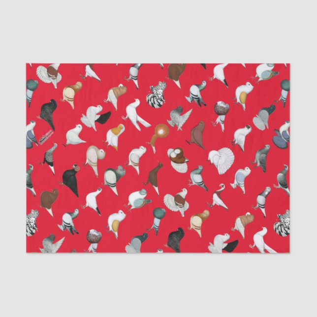 36 Pigeon Breeds Tissue Paper (Front)