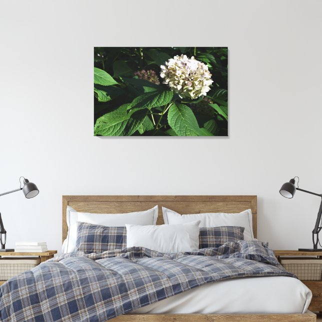 36"x24" Panicle Hydrangea Canvas Print (Insitu(Bedroom))