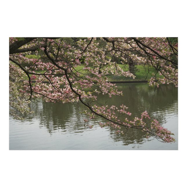 36"x24" Pink Dogwood Photo Print (Front)