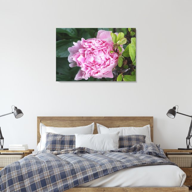 36"x24" Pink Peony Canvas Print (Insitu(Bedroom))
