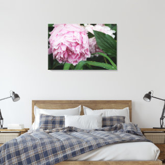 36"x24" Pink Peony Canvas Print