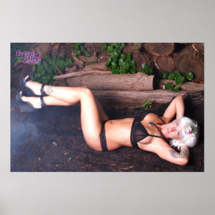 36" x 24" Chrissy Kittens Heels and Logs Poster