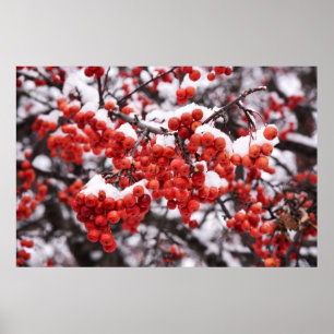 36x24 Wall Poster