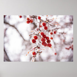 36x24 Wall Poster