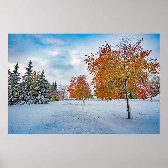36x24 Wall Poster (Front)