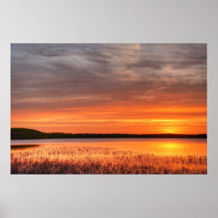36x24 Wall Poster