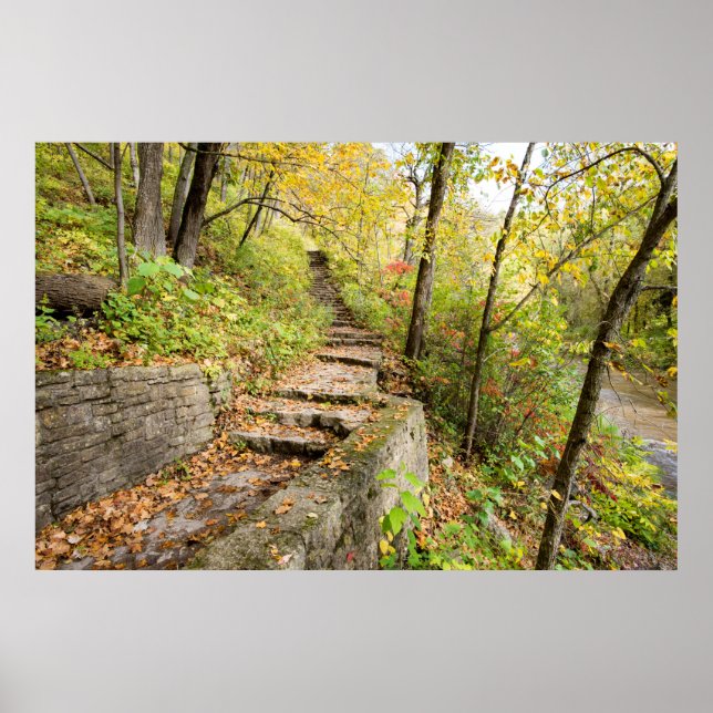 36x24 Wall Poster (Front)