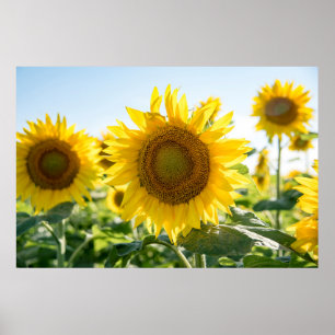 36x24 Wall Poster