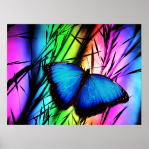 370729 RAINBOW DIGITAL BUTTERFLY REALISM BACKGROUN POSTER