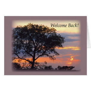 3748 Welcome Back Tree Sunset