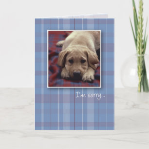 3756 I'm Sorry Puppy Card