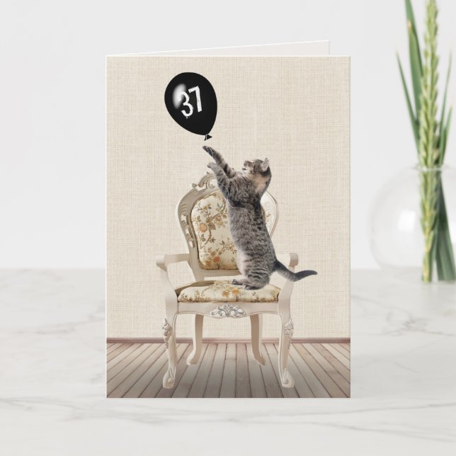 37th Birthday Tabby Cat on Chair  Card (Front)