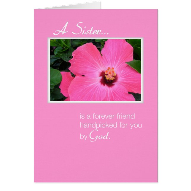 3829 Pink Sister (Front)