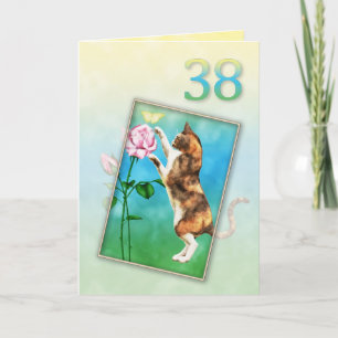 38th Birthday with a playful cat Card