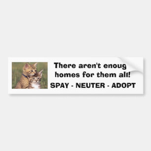 392324005_d000fde36f, There aren't enough homes... Bumper Sticker