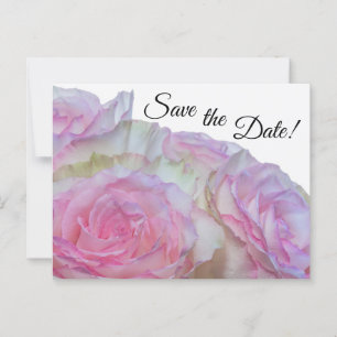 3998-White & Pink Roses Postcard