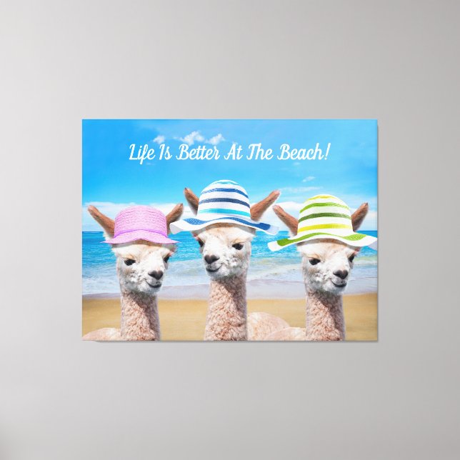 3 Alpacas Life Is Better At The Beach! DIY, Canvas Print (Front)