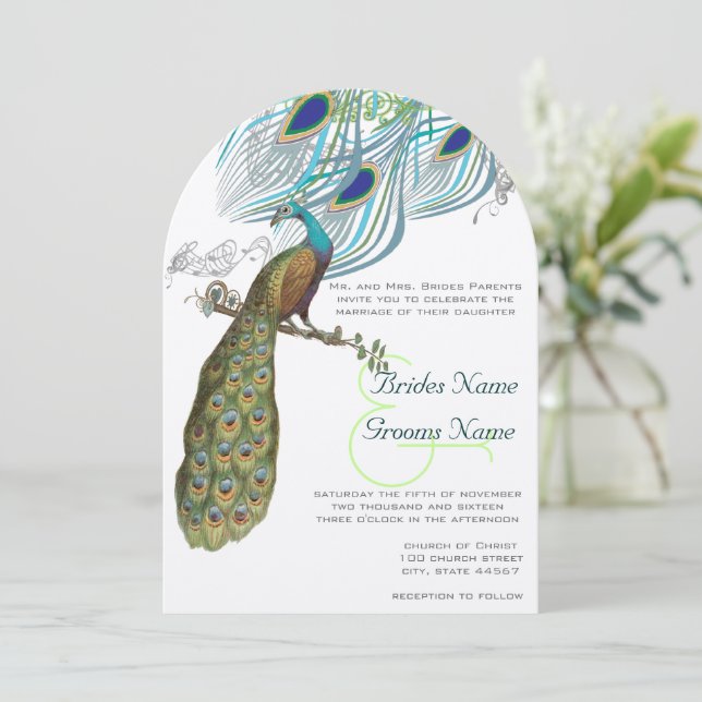 3 Aqua Peacock Vintage Feathers & Bird Invitation (Standing Front)