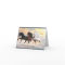 3 Arabians Greeting Card, white envelopes included