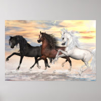 3 Arabians Value Poster Paper (Matte)