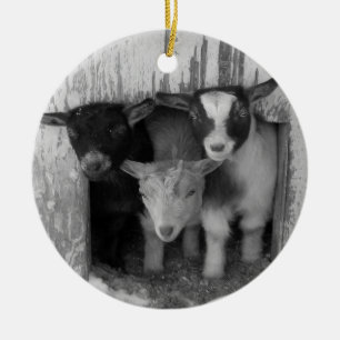 3 BABY WINTER GOATS CHRISTMAS ORNAMENT