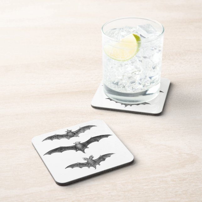 3 Bats Vintage Art Print Coaster Set (Right Side)
