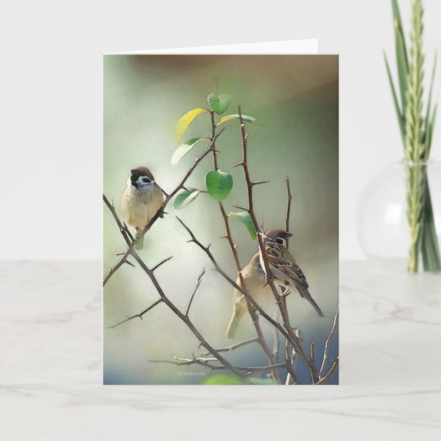 3-Birds Card (Front)