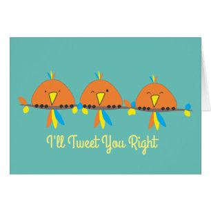 3 Birds I'll Tweet You Right