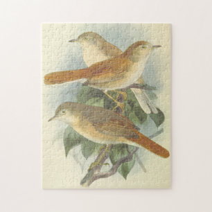 3 Birds Perched on a Branch Puzzle
