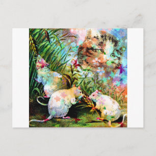 3 BLIND MICE.jpg Postcard