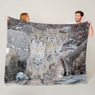 3 BOBCATS FLEECE BLANKET