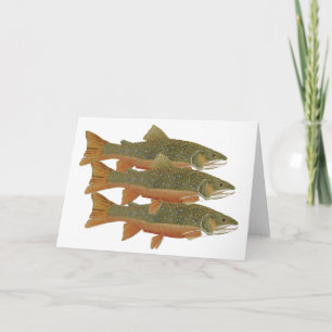 3 Brook Trout Card