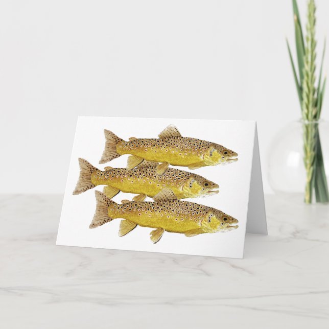 3 Brown Trout Card (Front)