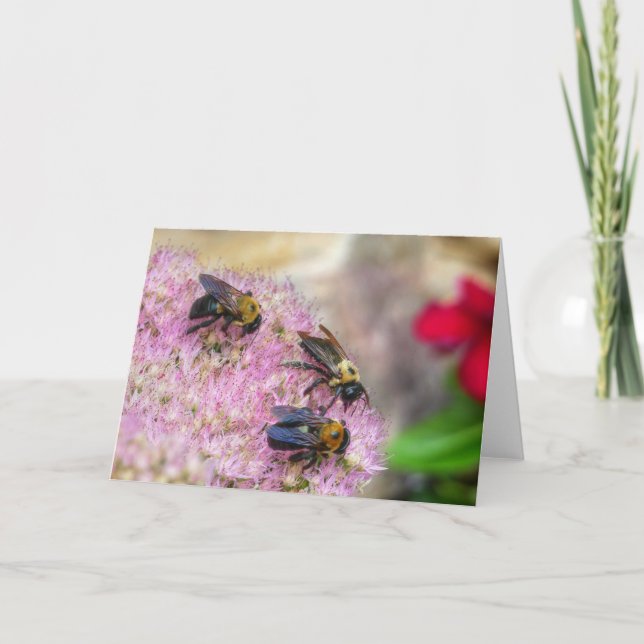 3 Bumblebees Card (Front)