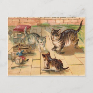 3 Cats Playing With Toys Vintage 1900's Postcard