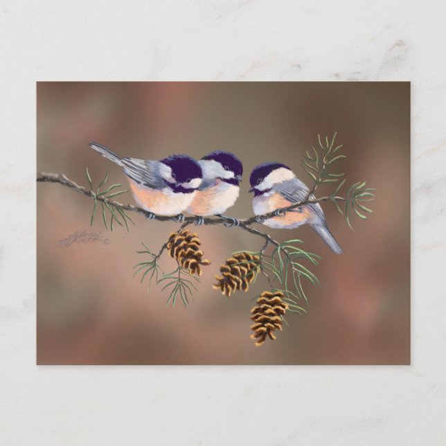 3 CHICKADEES & PINE CONESby SHARON SHARPE Postcard (Front)