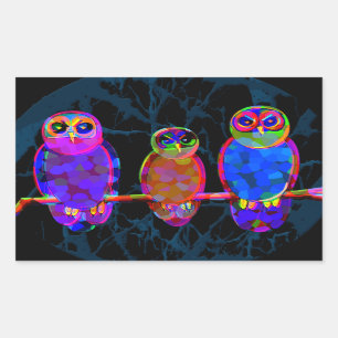3 Colourful Owls at Night in Front of the Moon Rectangular Sticker