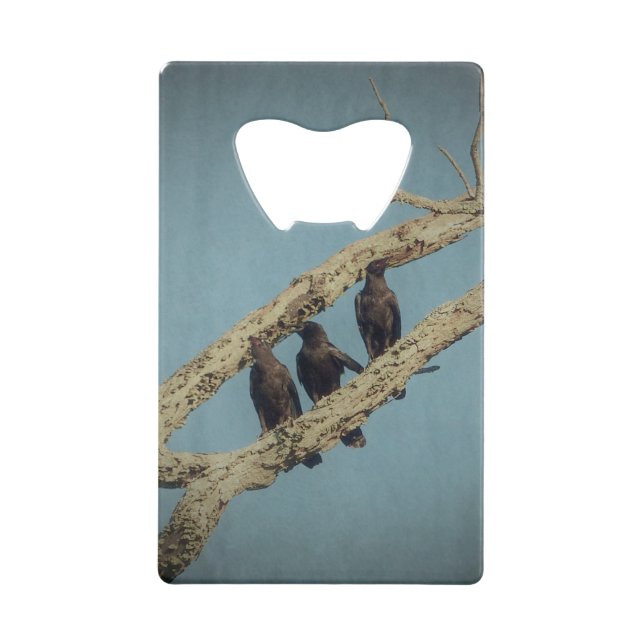 3 Crows (Front)