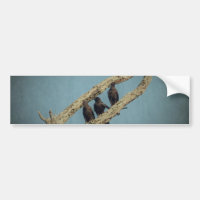 3 Crows Bumper Sticker