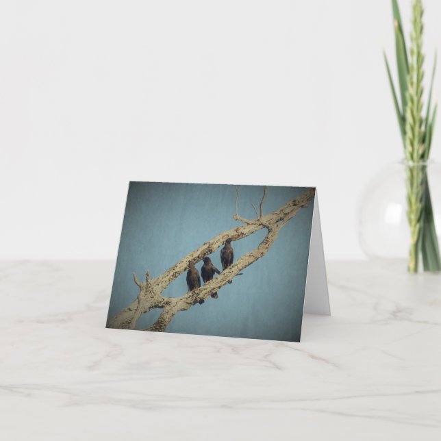 3 Crows Greeting Card (Front)
